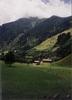 Pastvina v Alpch