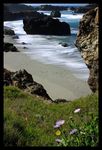 Great meeting sea and land - Big Sur (Part IV)