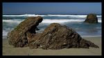 Great meeting sea and land - Big Sur (Part IX)