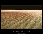 abstract field