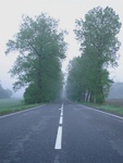 mlha na cest