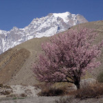 Vude lze t - Muktinath (Nepal)