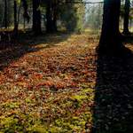 Podzim v Prhonickm parku