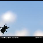On The Road To Heaven