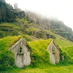 Islandsk zelen bydlen