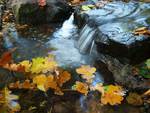 Podzimn voda