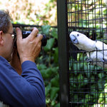 Fotograf a kakadu