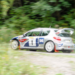Peugeot 206 WRC -Campos Miguel