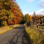 Lesn cesta v barvch podzimu