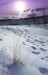 Jizerky v zim
