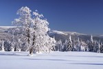 Zima v Jizerkch