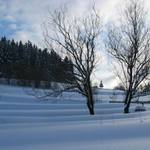 Zima na Kysuciach