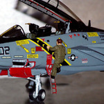 Vzhru do prce - F-14