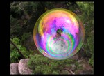 prost bublina
