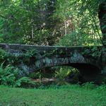 Zabudnut most v zabudnutom lese
