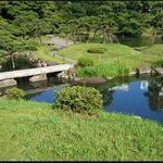 Shiba rikyu garden