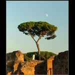 Rome III. - Roman Forum
