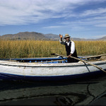 ryb na jezee Titicaca, Peru