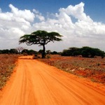Kenya - Tsavo