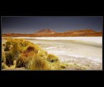 Soln laguna v oblasti Salar - Bolivie