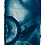 cyanotype 3