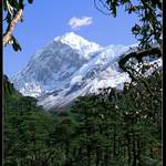 Pandim - Sikkim
