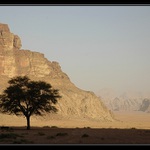 Wadi Rum; Jordan I