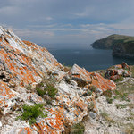 Sibr - Bajkal IV