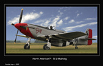 P-51 D   Mustang
