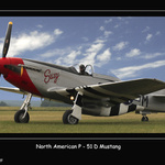 P-51 D   Mustang