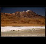 Bolivie - Salar, laguna s plamenakama III