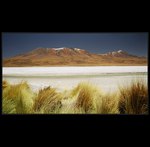 Altiplano - Bolivie