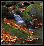 Podzimn potok