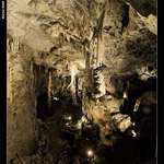Punkevn jeskyn 6