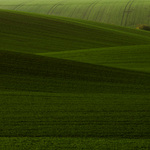 Green-fields