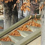 podzimn schody