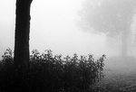 Mlha na Svatm Tomi
