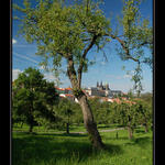 Kouzeln pohled na Prask hrad