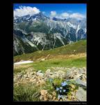 Stubaisk Alpy