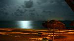 Playa del Carmen ,Noches ...