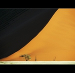Jej velienstvo duna