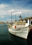 Vieu port de Marseille