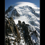 Mont Blanc III - pika
