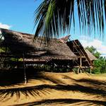 Papuansk vesnice