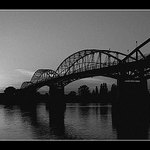 Most pes Dunaj III
