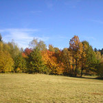 Podzimn barvy