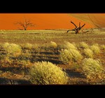 Nambia - Sossusvlei
