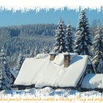 Zimn krajina leden 2006,Krkonoe