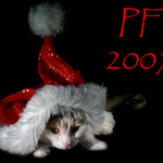 PF2007