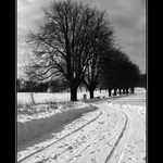 Zimn cesta